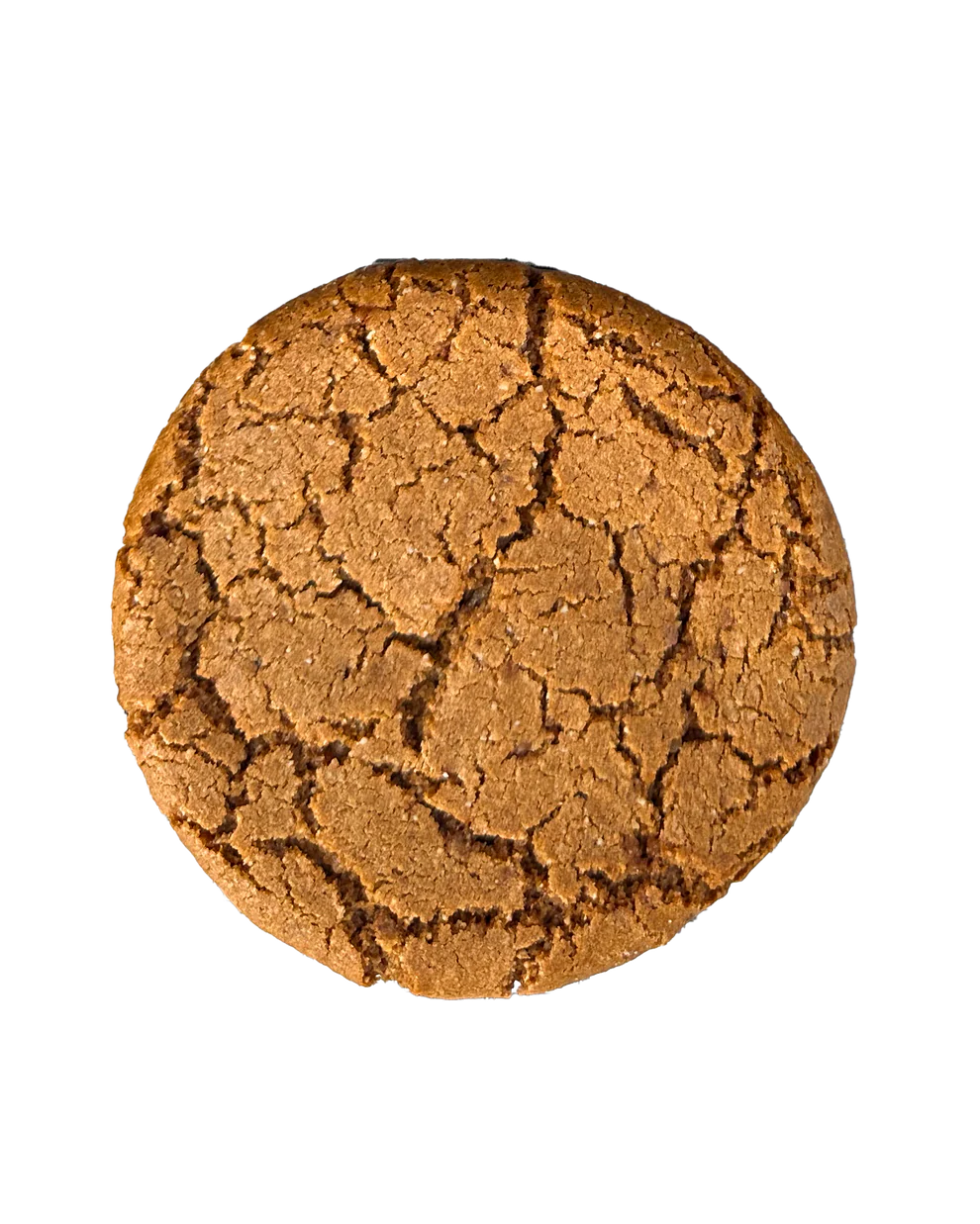The Ginger Molasses Cookie - Case of 12
